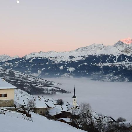 Studio Cosy Vallee De Tarentaise Ла-Плань Экстерьер фото